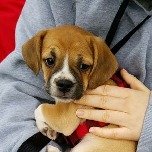 Meet your Posher, Mackenzie